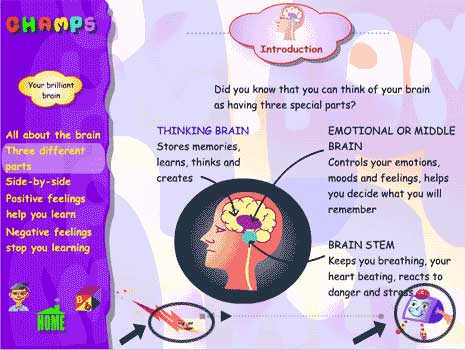 Brain research and learning